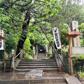 杉本寺