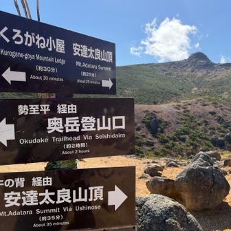 くろがね小屋経由で下山を予定してたけど
上から見たら登山道には沢山の人が見えて
人が少なそうな奥岳登山口の方へ下山🥾