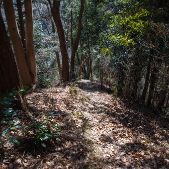 網代弁天山・網代城山 めちゃめちゃザレの急登
ロープも何もないので慎重に。