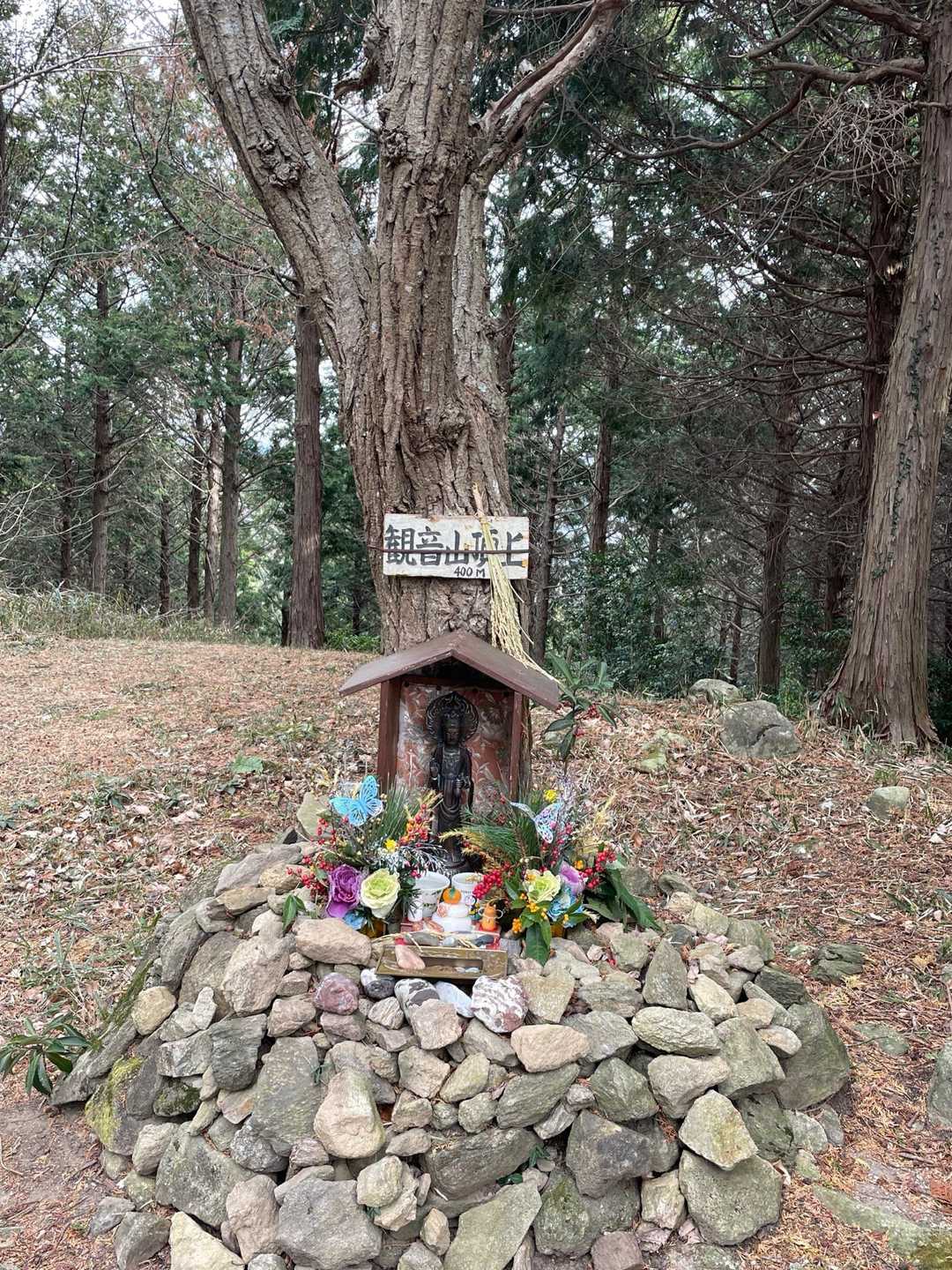 観音山山頂　眺望はない🫩
祠に観音様🙏