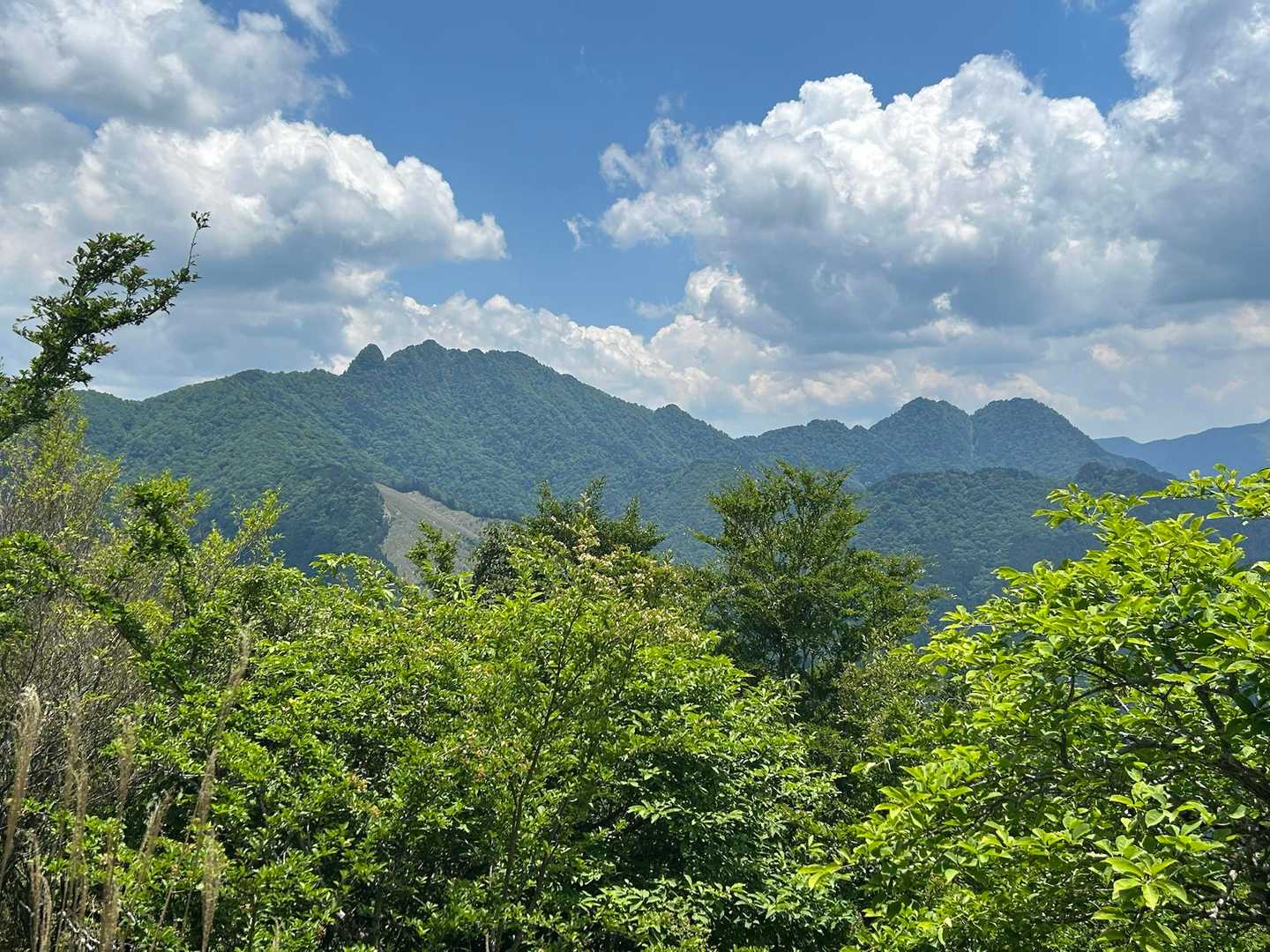 稲村ヶ岳　バリゴヤノ頭