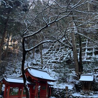 雪がまだ残ってます