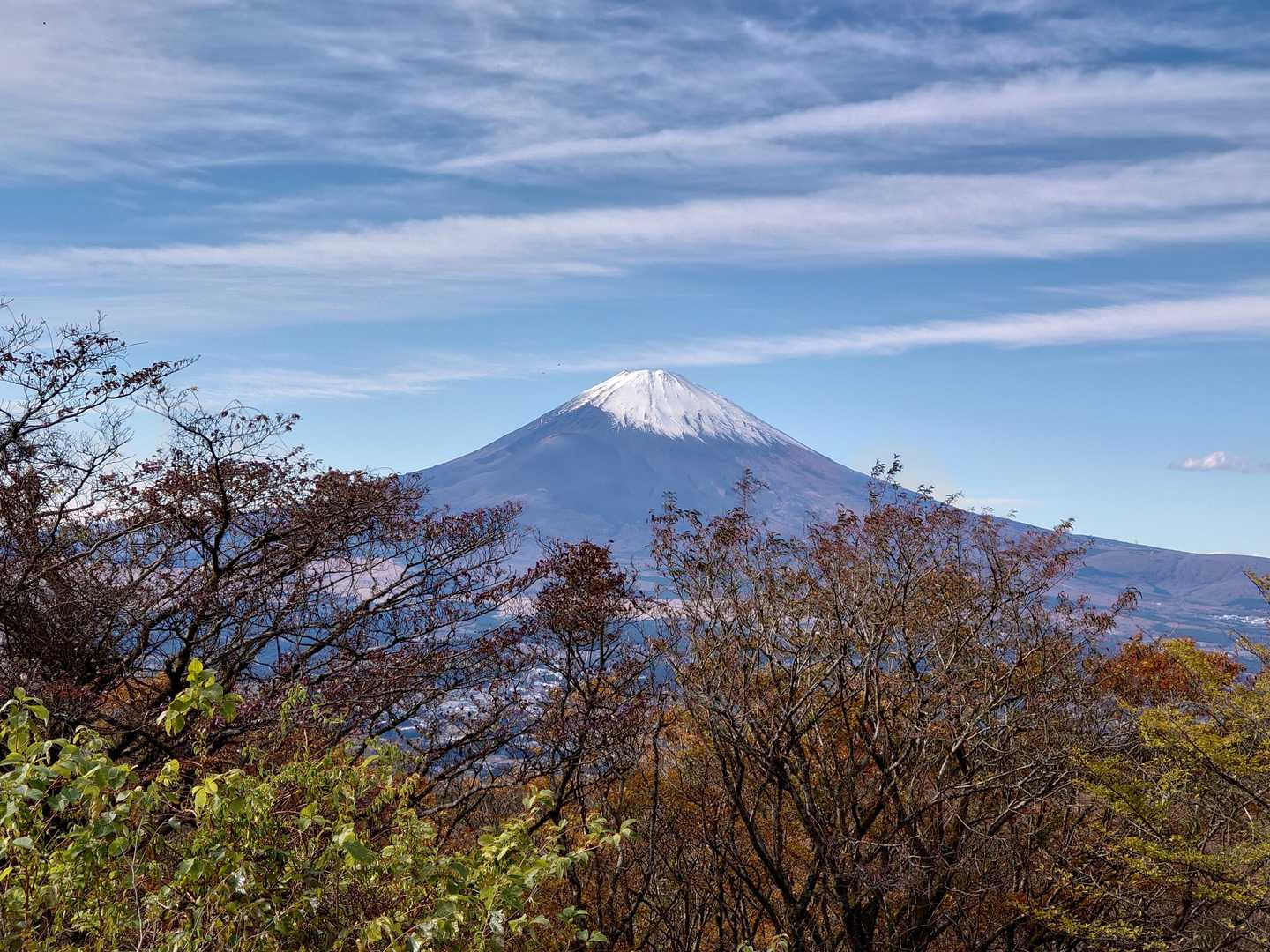 午前中の雲が取れ、綺麗な富士山登場