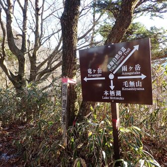 気持ちいい笹原の道は長くは続かず、その後はなかなかの悪路の激下りでした。そして端足峠。毛無山〜雨ヶ岳の縦走のときは反対側からここに下ったんです。軌跡が繋がって嬉しい