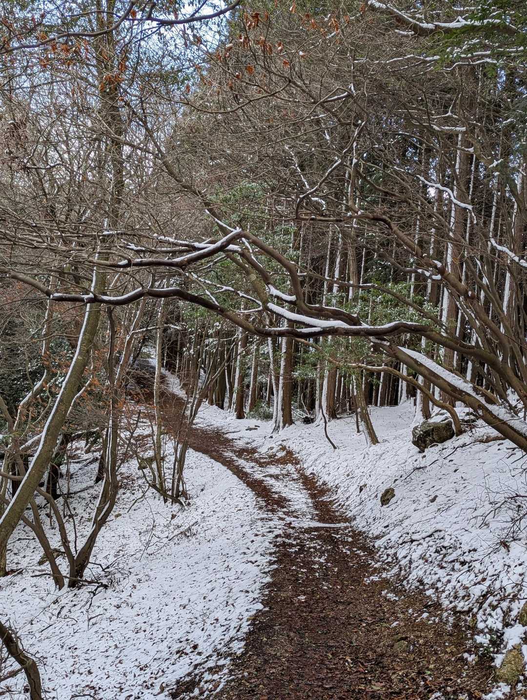 音羽山-法嚴寺-高塚山-醍醐駅 縦走コースの写真