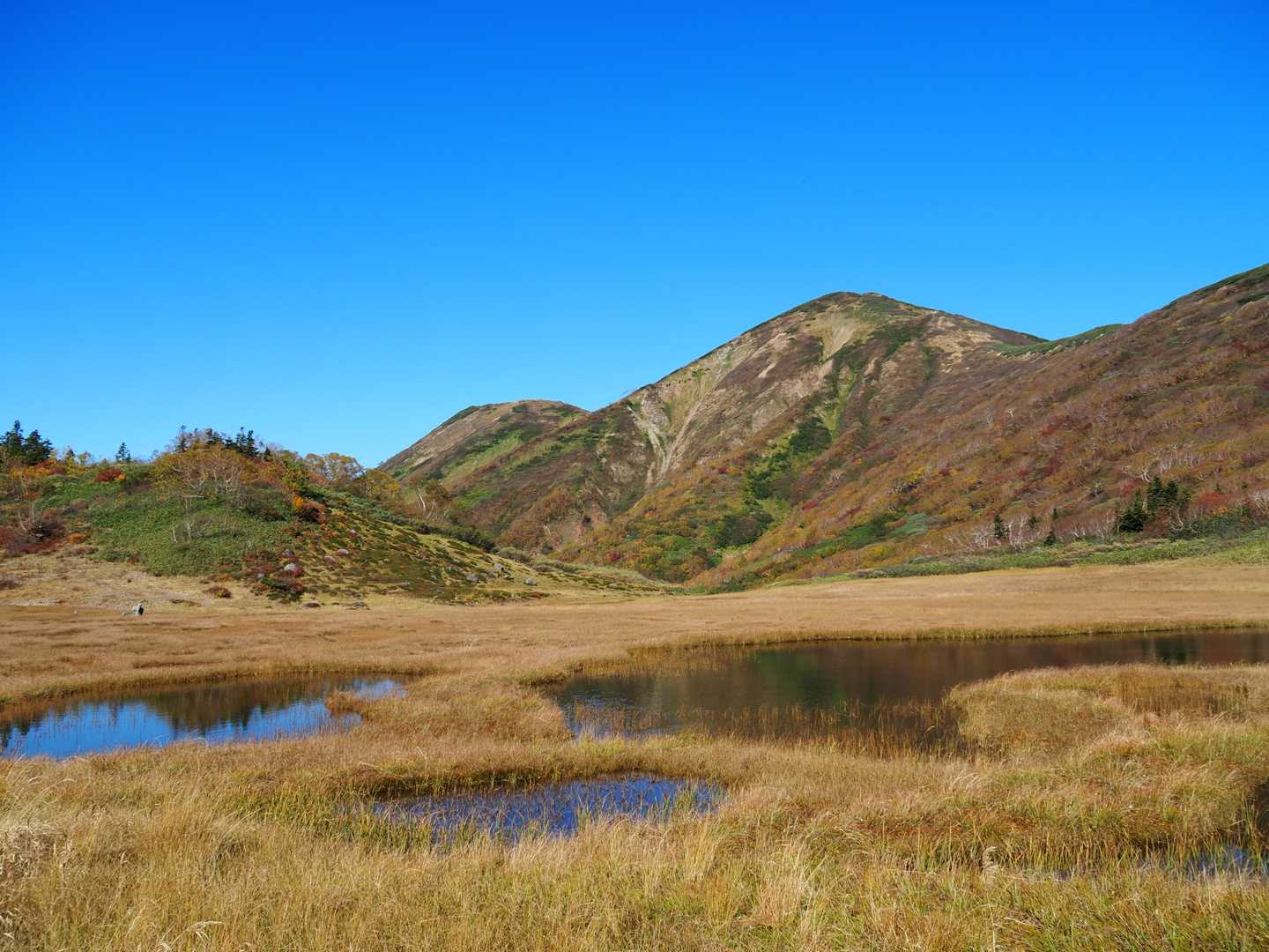 火打山 往復コース | 天狗の庭の湿原と花、CNNも選んだ「天上の楽園」への道の写真