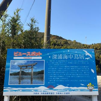 海に鳥居が⛩️あるけど、
どこに神社があるんかと
だいすけさん探してたけど、、、
まさかの厳島神社だった、、、