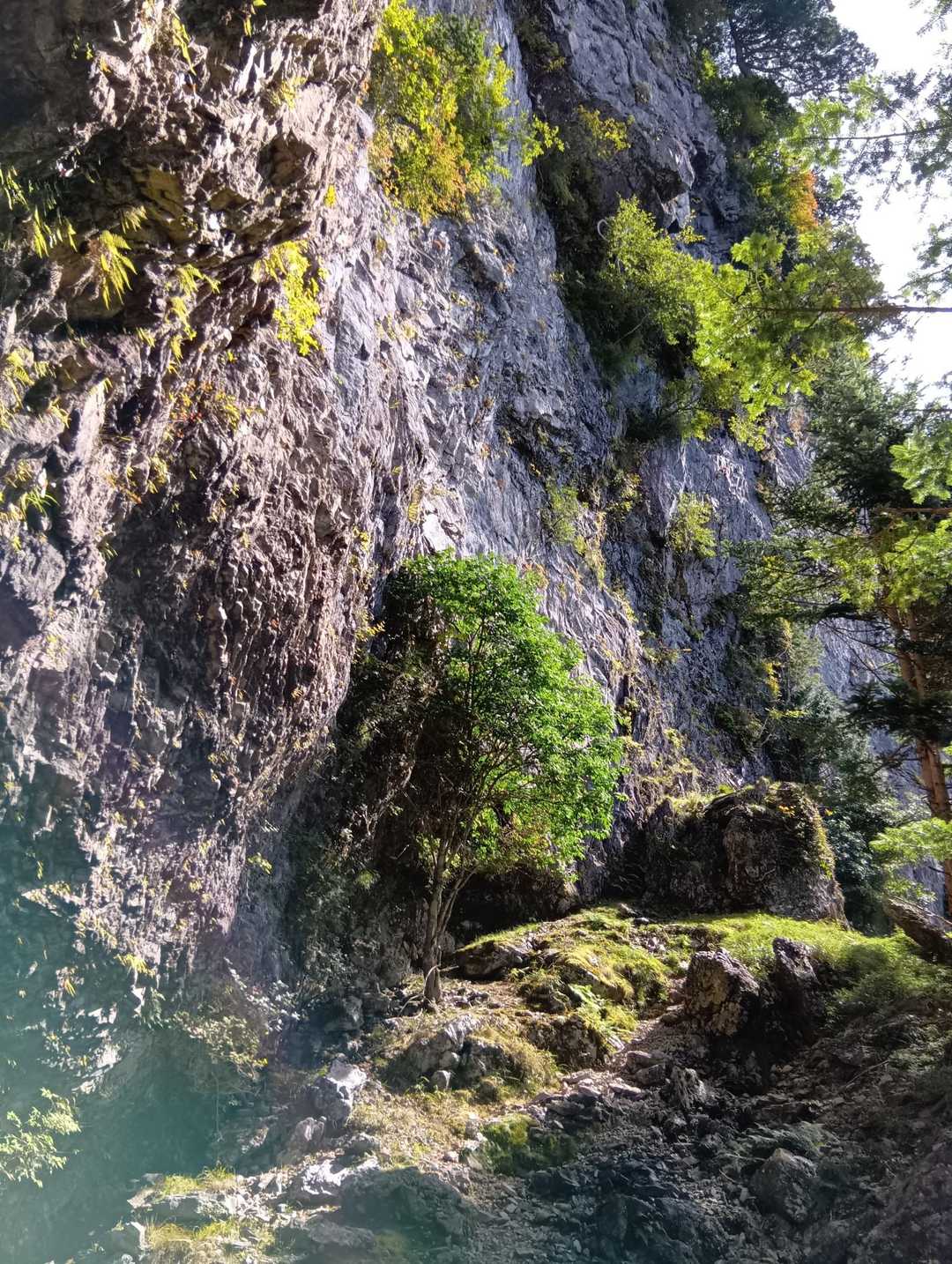 窟の上の岩、大き過ぎて写せない。
