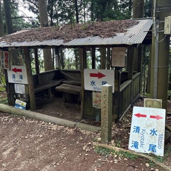 合流地点に到着🚶🏻
ここで思い切りドリンクを🥤