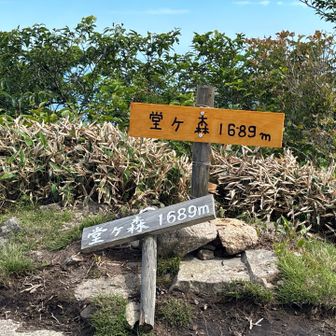 堂ヶ森山頂