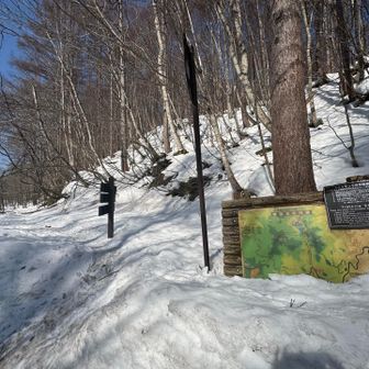 駐車場に車を停めて
ここからスタート▶️

⚠️注意
〜すぐ側の駐車場について〜
8時ごろ迄に到着しないと、満車になる可能性があります。
私は8:20ごろに到着しギリセーフで停められましたが、続々と後続車が来てあっという間に埋まりました。