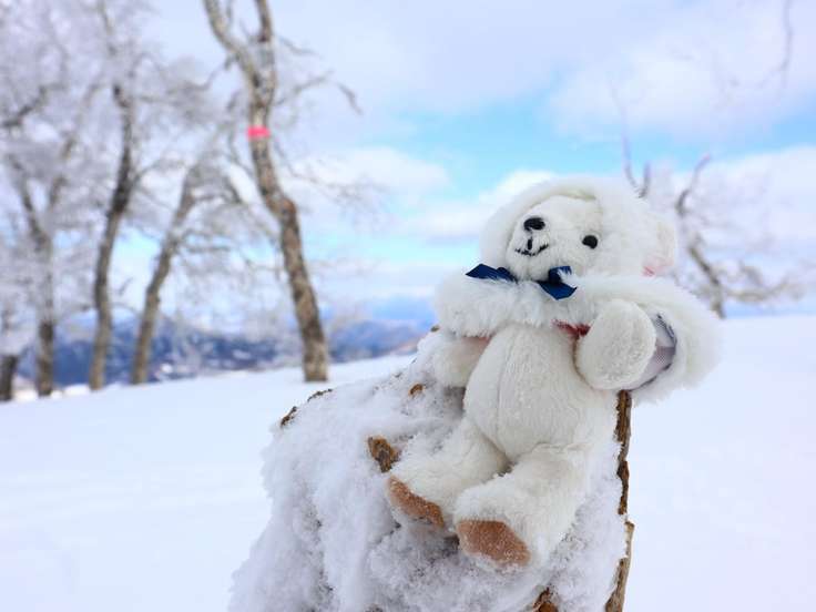 タケノコ山（北海道） | YAMAP / ヤマップ