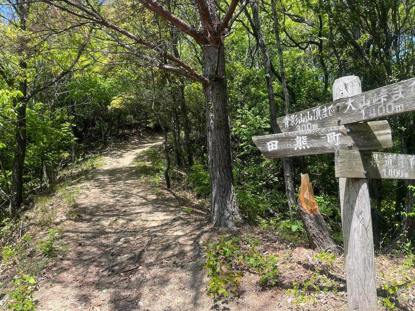 青影山もうすぐです🔜