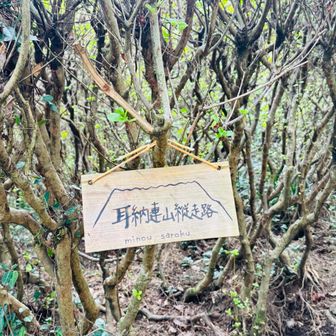 手書きの看板が至る所に有って、地元の人の愛着を感じます。