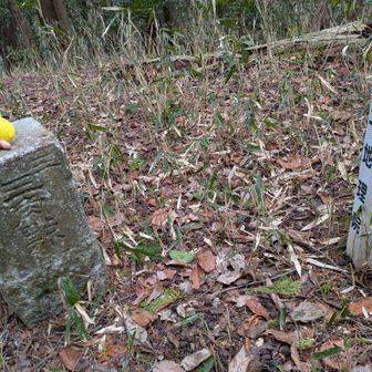 🔺三等三角点ありました(^^)