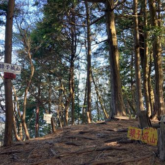 おはようございます
久しぶりに猿子城山
この後の激下りをすっかり忘れていた🙈