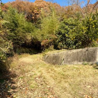 やっと、山道へ突入。