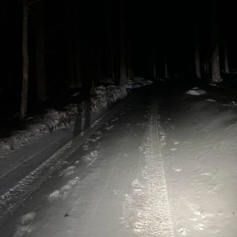 八ヶ岳山荘に駐車して約1時間林道歩き