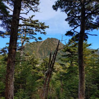 さて、こっからあの頂を目指すのですな…
山荘の屋根が何とか見える🛖

一気に標高上げてく感じ💪
この時は青空だったんです✨️
山頂ではさぞかし絶景が広がっているに違いない←フラグ