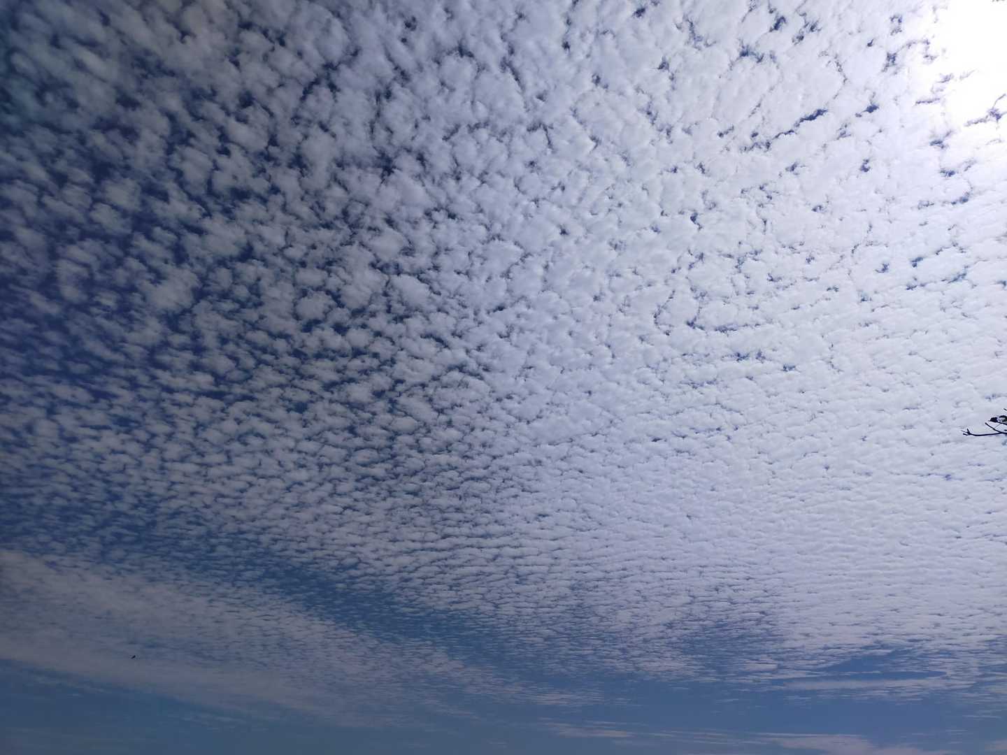 秋の空