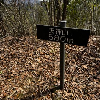 天神山着