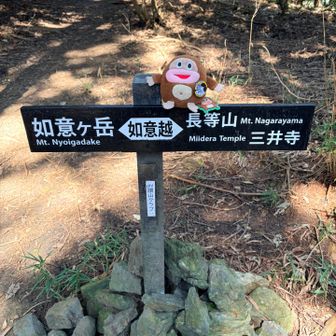 如意！