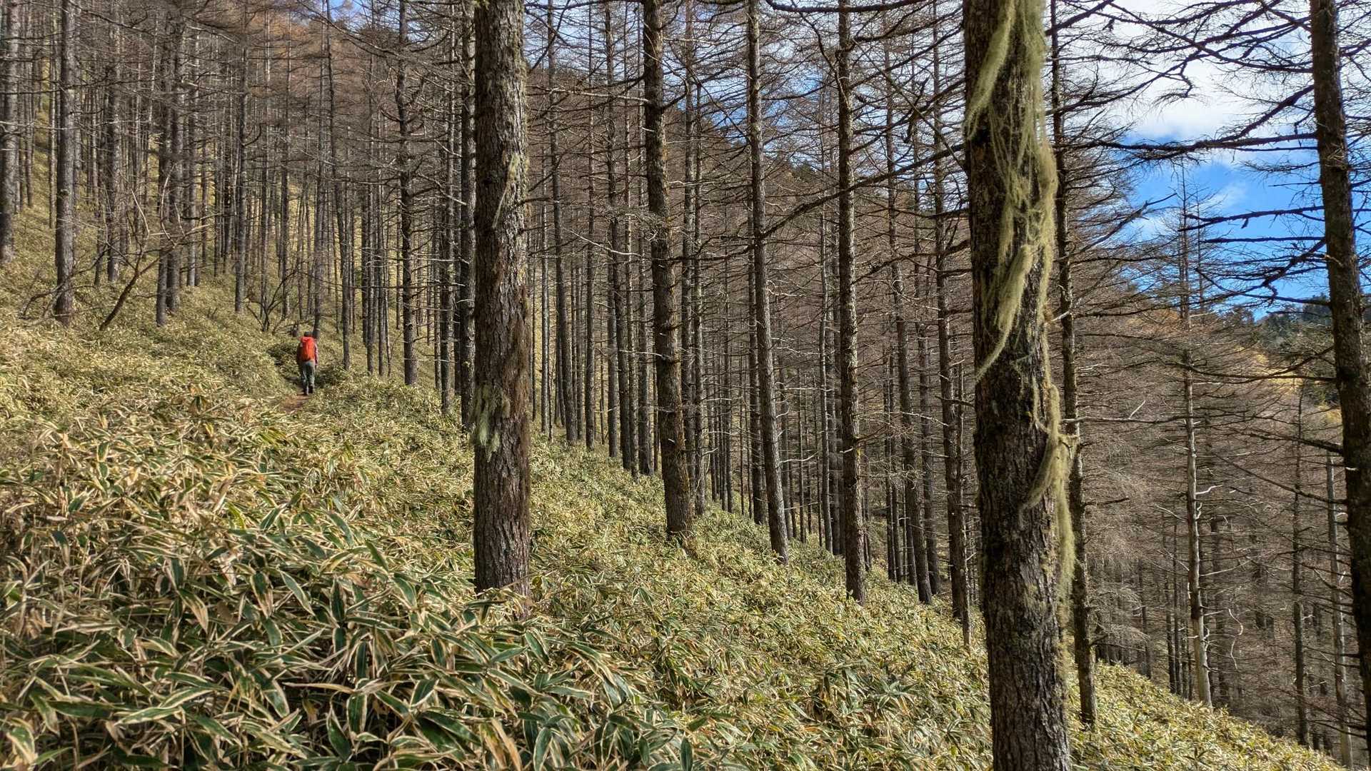 小金沢山（ロッジ長兵衛）＜石丸峠＞の写真