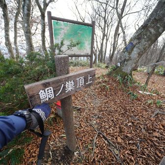 鯛ノ巣山山頂に到着