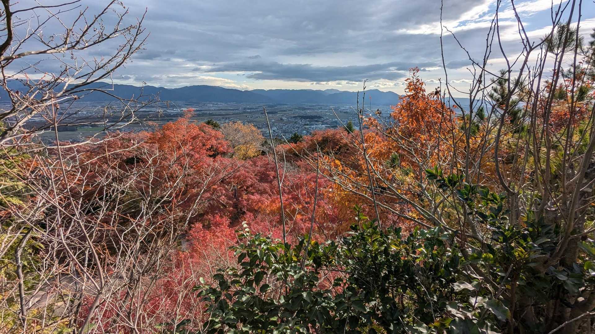 阿賀神社-太郎坊山-みつくり君休憩所-箕作山 往復コースの写真