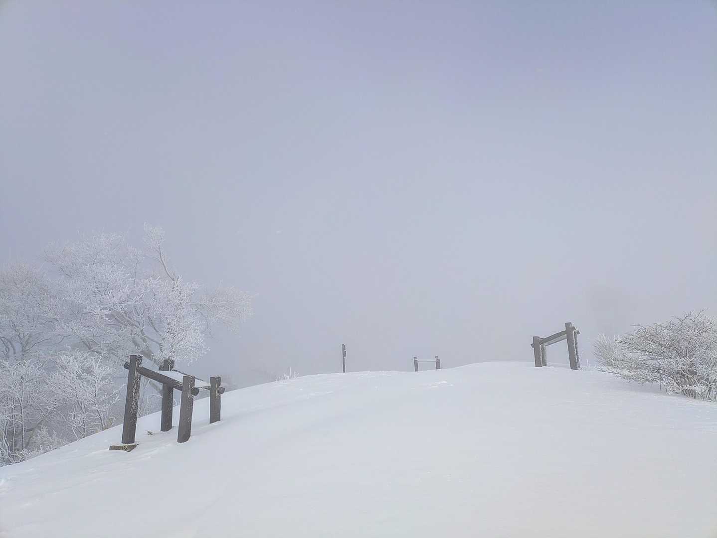 聖山登頂です
この時期だけ少しガスが薄くなりました