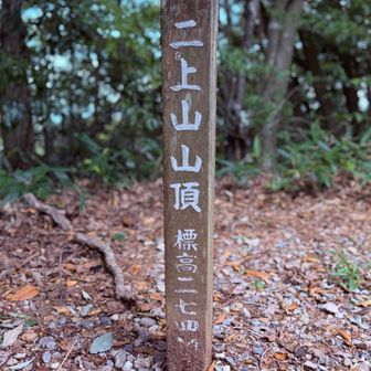 何気にお初の二上山⛰️
