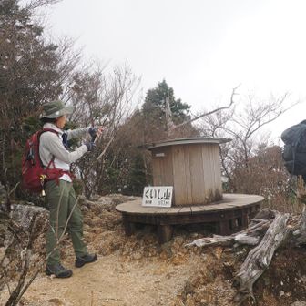 工石山北の頂法にトウチャコ