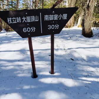 南御室小屋まであと1本
基本下りの道