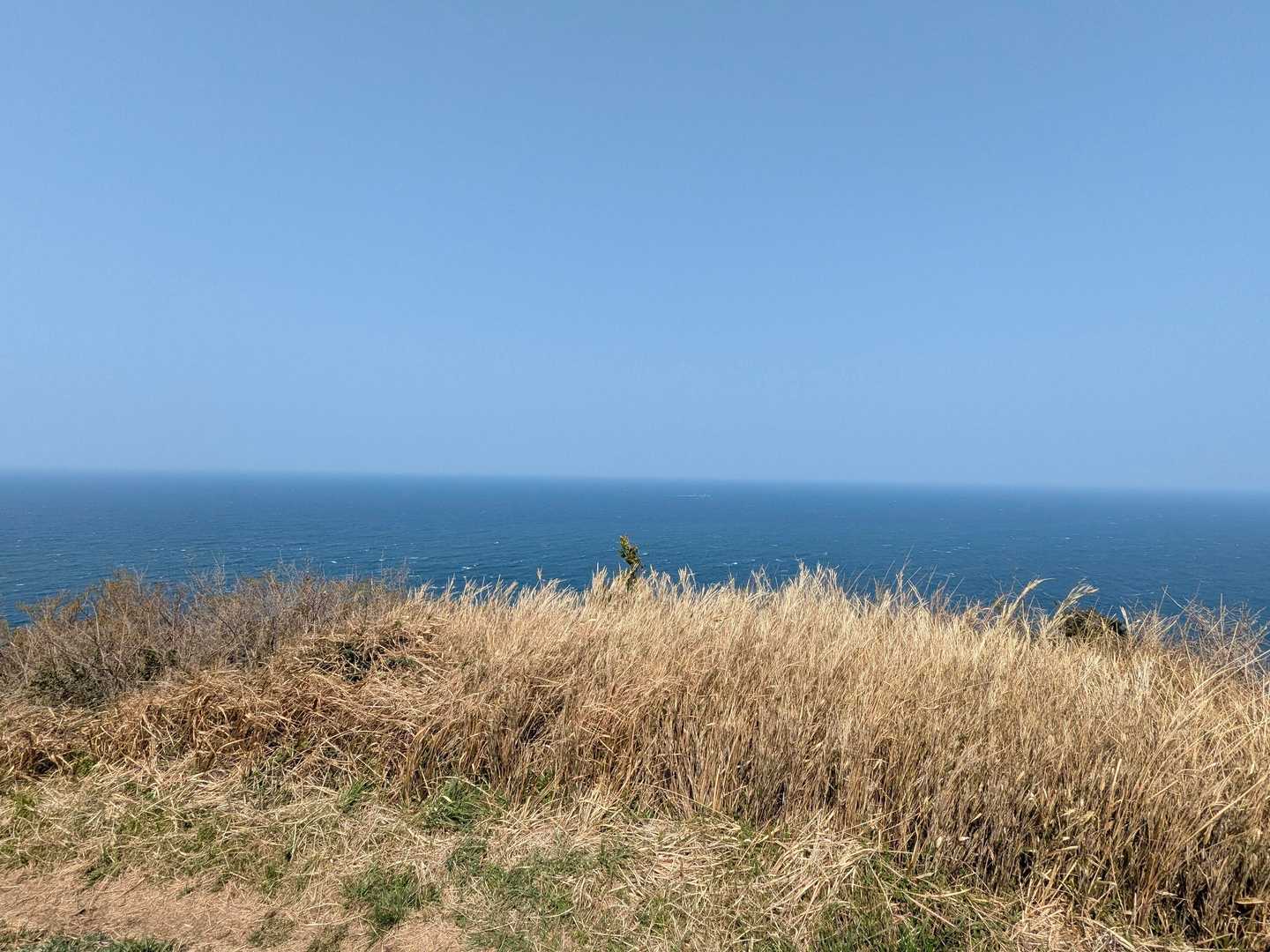 沖ノ島は…ここからも見えない
残念😣