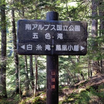 フィールドコメントを見て寄り道