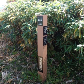 山頂への分岐に出た