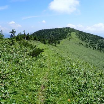 稜線漫歩