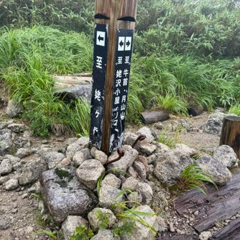 まずは姥ヶ岳に⛰️