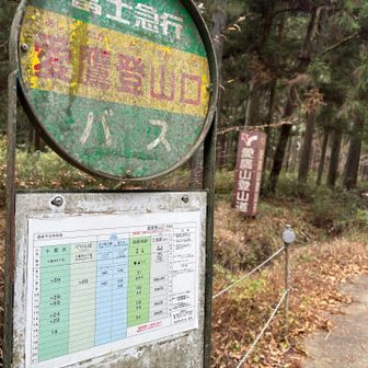 バス時刻改定されてたようでターゲットの時間より25分ほど早着