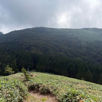 笹ヶ峰頂上へ左から登る