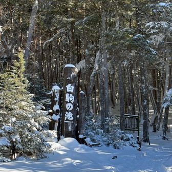 ようやく目的地が出てきました