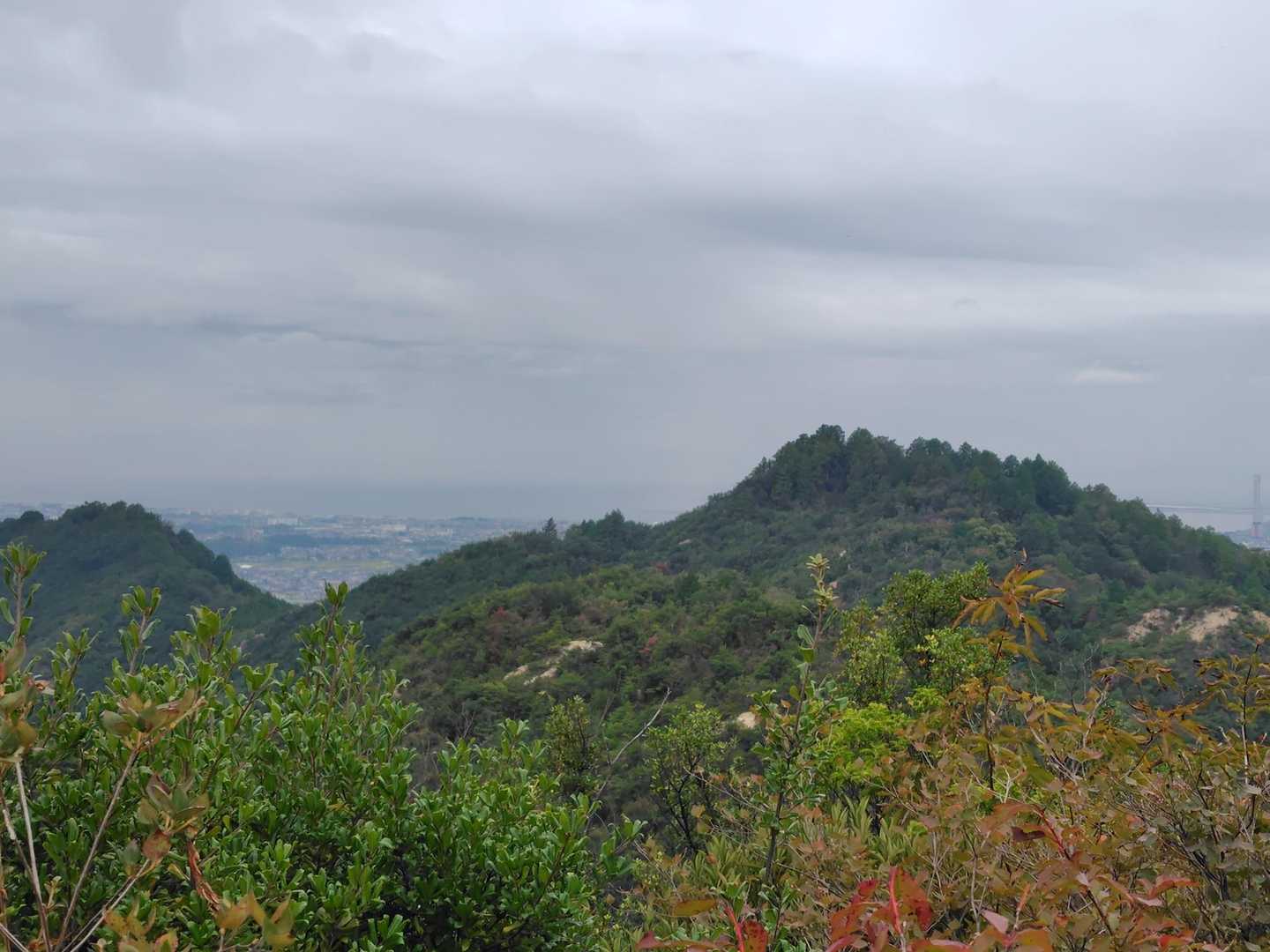 振り返ると雨山が。