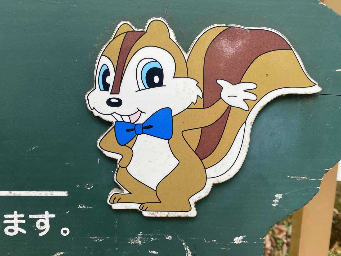 🐿リスみっけ！