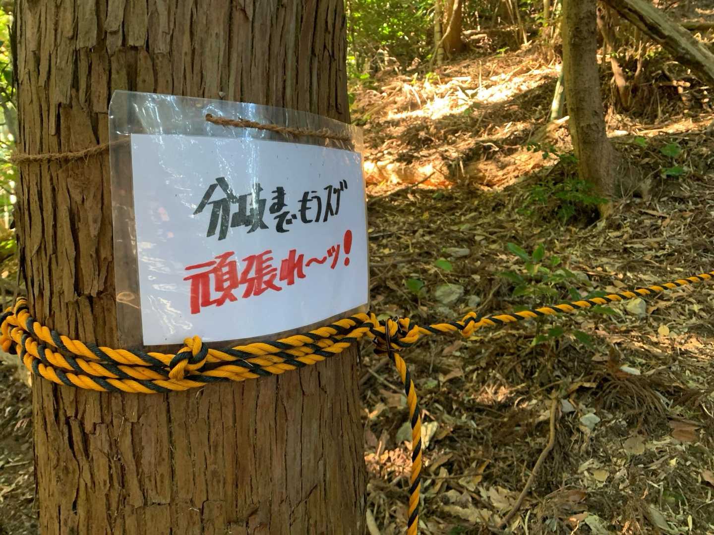 山男のもう直ぐは信じるな☝🏻
って誰かが言ってた。
