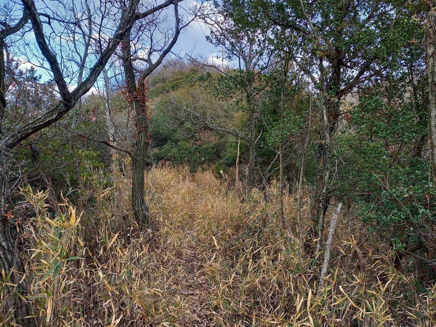 この辺りが鎌刃越ですね。