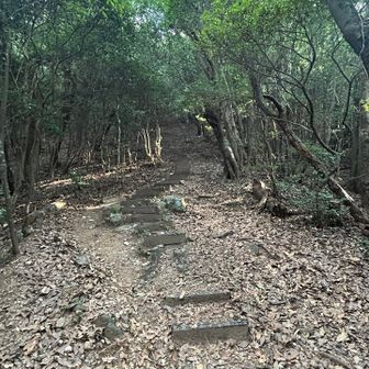 最後の階段、無心で登ったけどここだけはきつかった