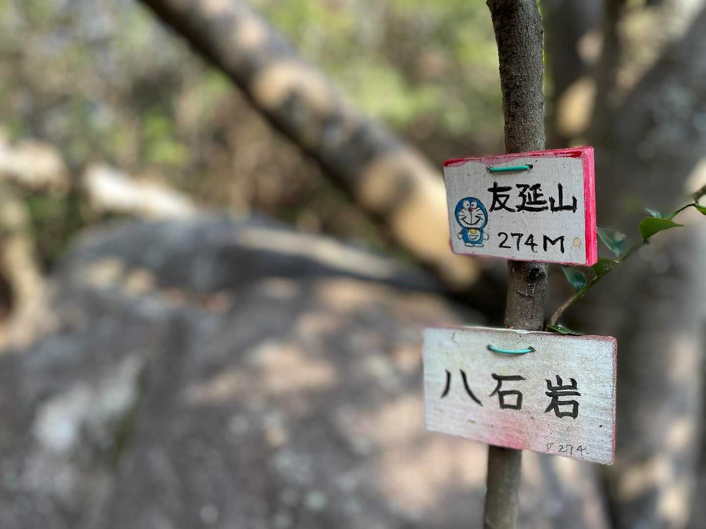 八石岩らしい。
んで、ピークかな