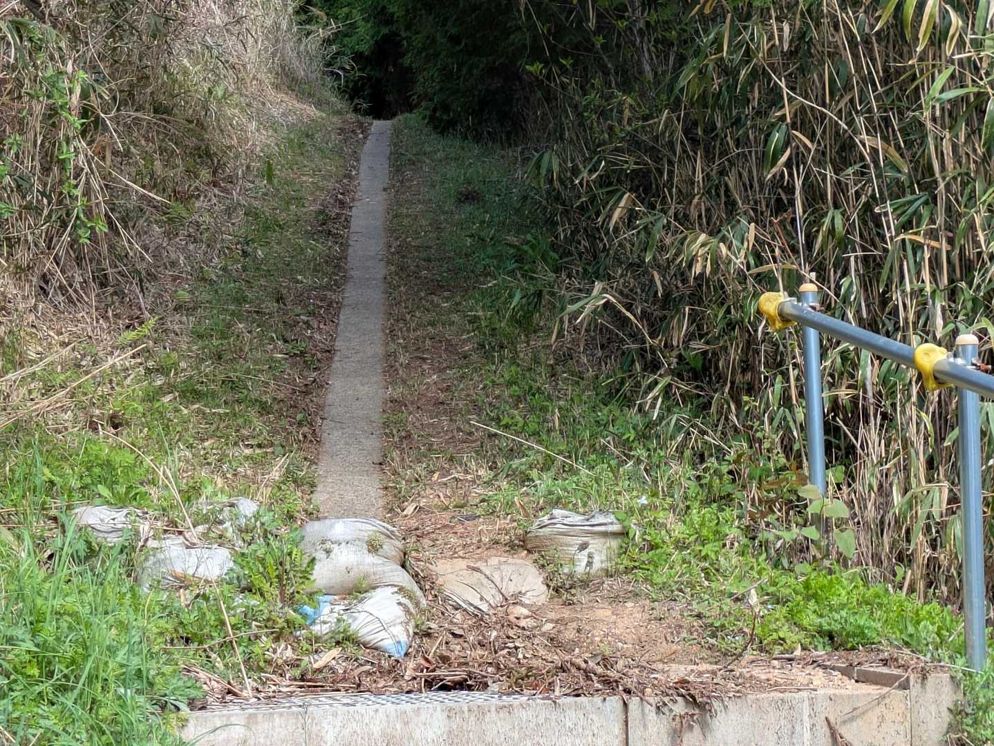 ここから登山口レッツラゴ〜👉