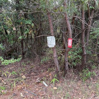 山頂到着