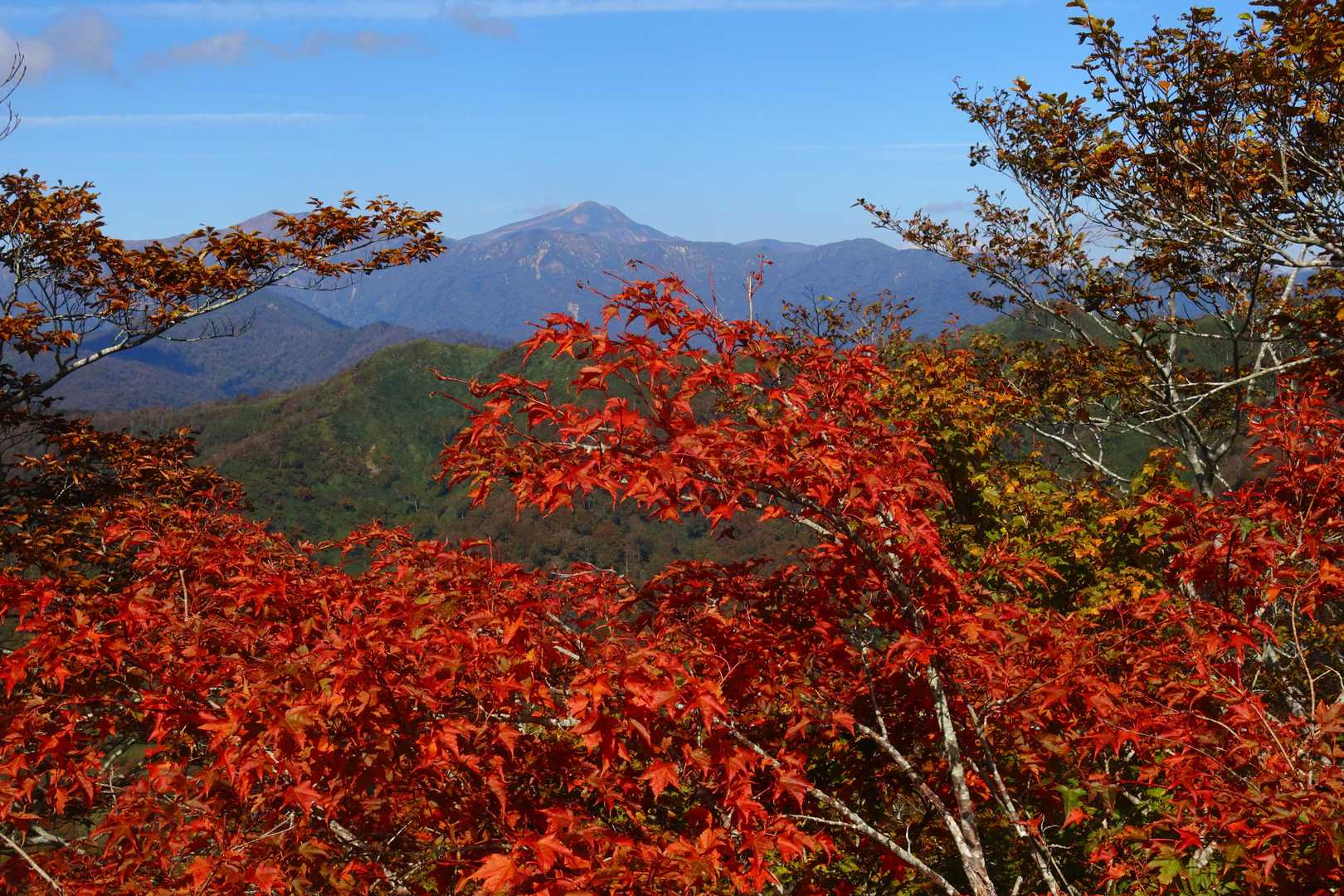 紅葉の向こう側に白山御前峰